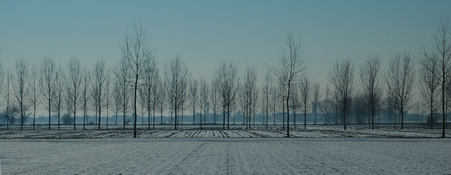 Copyright  GPh