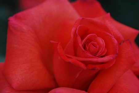 Copyright  GPh