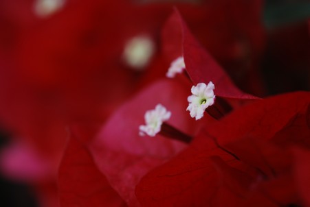 Copyright  GPh